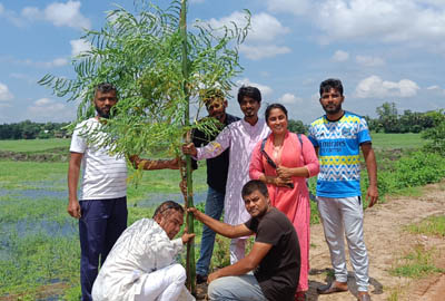 কৃষ্ণচূড়া'র বৃক্ষরোপন উদ্বোধন