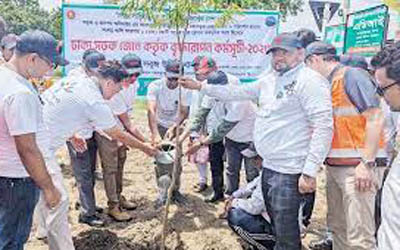 মহাসড়কে বৃক্ষরোপণ কর্মসূচি অনুষ্ঠিত 