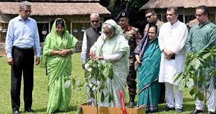 সবাইকে গাছ লাগানোর পরামর্শ প্রধানমন্ত্রীর