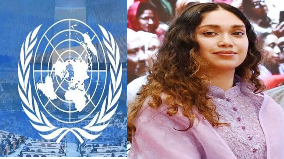 জাতিসংঘে জাইমার চাকরি, সরকারের সংশ্লিষ্টতা নেই